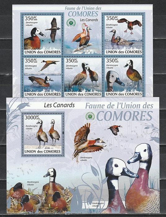 Птицы, Казарка, Коморы 2009, малый лист + блок